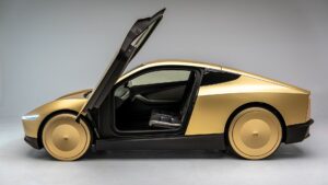 tesla robotaxi