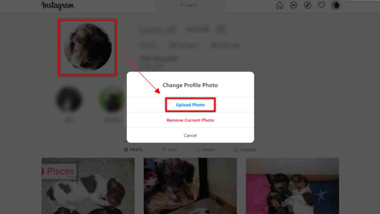 goz alici bir instagram profil fotografi icin bilmeniz gereken her sey 10